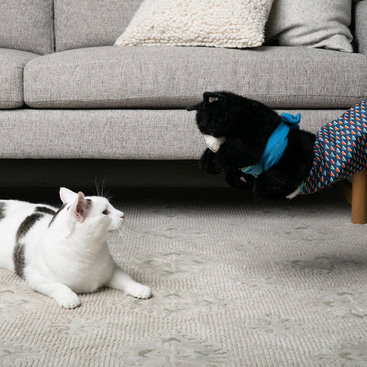 Interactive Cat Wrestling Glove