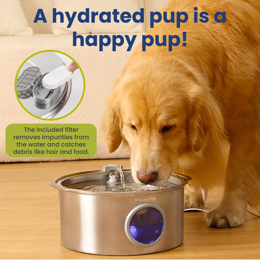 Give Your Dog Years More Healthy Life with Barklyn™